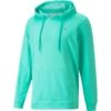 Puma Hoodie PTC Midweight, Grün