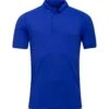 Puma Poloshirt Team Cloudspun, Kurzarm, Royal -J.Lindeberg Verkäufe puma poloshirt team cloudspun kurzarm royal blau 6869796 1sMJSpmxn17qSz 1280x1280